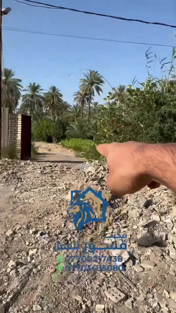 لسلام عليكم 
اليوم عدنه دونم و200 متر (2700م)
في منطقة العنافصة تبعد عن جزيرة بغداد 10 دقائق
دونم ملك زراعي صرف سند 25 تحويل بأسم المشتري
يبعد عن الشارع العام تقريباً (150م) 
واجهة (20) ونزال (125)
شامل كافة الخدمات كهرباء وماء وتبليط
ويحتوي الدونم على كافة انواع الحمضيات 
حامض 40 
20 برتقال دموي+اسود
10 سندي 
كرينفوت 10
ويحتوي ايضاً كافة انواع التمور 
36 اسطه عمران
14 برحي و6 حمالات
3 بريم 
13 زهدي
2 خستاوي
ويحتوي ايضاً على عدة فواكه منها 
العنب بعدة اصنافه
والعنجاص 
للاستفسار الاتصال على الرقم
***********
