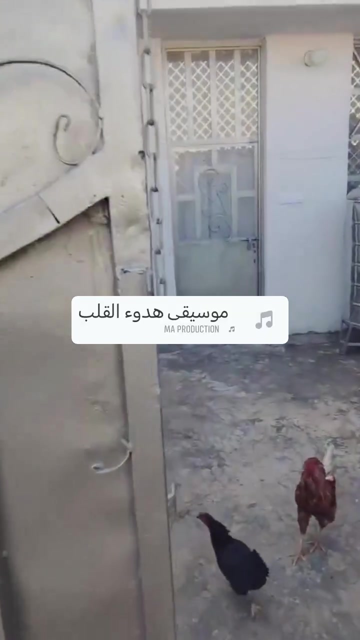 السلام عليكم بيت مساحه 100 متر واقع حال 110 خدمات مسقط منطقه الساهرون البيت باسمي السعر 48 وبي مجال الاتصال على هذا الرقم ***********
