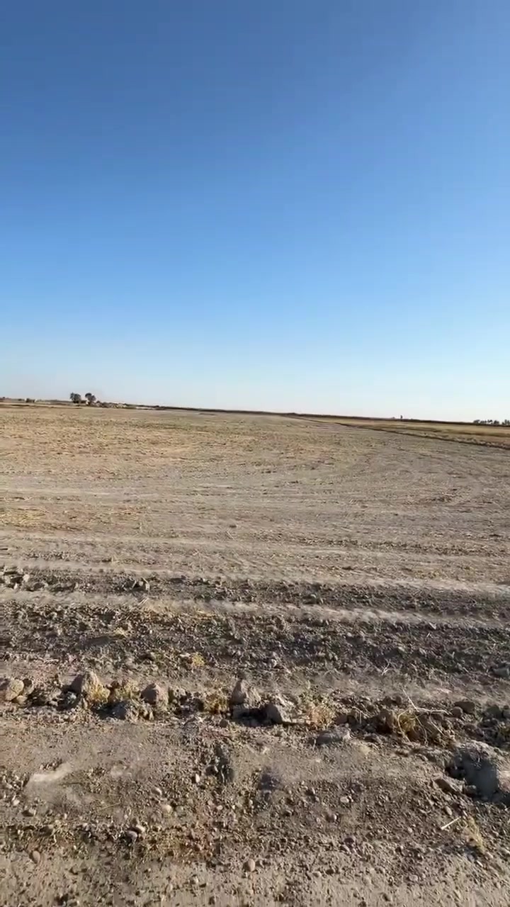 السلام عليكم ❤

15دونم 
طابو سند 25
علئ طابو الفلوجه 

الموقع _التاجي _الشيخ عامر 
قرب مرقد بنات الحسن 

متوفر عليها 
كهرباء 
مي سقي 
شارع تبليط 

وكل هذا العرض 
فقط سعر الدونم 15مليون وبي مجال 

التواصل والاستفسار 
اتصال و واتساب 

***********

 #الروافد
