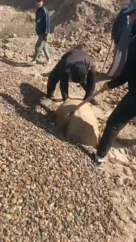 توجد لدينا برينا لحفر الاابار الارتوازيه باداراة ابو رسول العمق الى حد 42 متر قطر البوراي 6 انج ب 8انج و 10 انج لتواصل على ارقام تاليه *********** /‏‪***********‬‏
