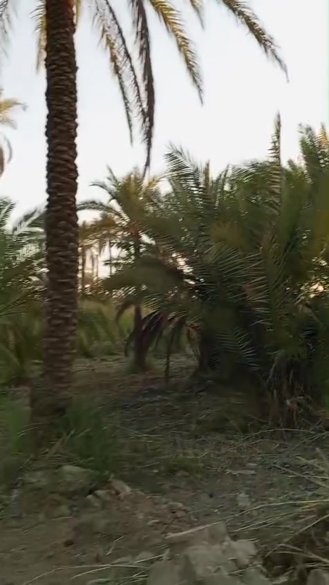 السلام عليكم ورحمة الله وبركاته ..
اللهم صل على محمد وآل محمد...

♦️أرض زراعية للبيع طابو زراعي سند ٢٥ تحويل سهم مباشر للمشتري يدخل اسمك مباشر بالسند ..

♦️المساحة ١٤٤٢م٢ وجه ٥٧ م ونزال ٢٦ م مع الشارع .

♦️تقع في كربلاء قضاء الحسينية منطقة ام ماشه تبعد عن شارع السيدة زينب ع  تقريبا ٥٠٠م 

♦️موقع مميز جدا وخدمات كاملة ماء وكهرباء وخط مولد بالاضافة الى المدارس والاسواق.

♦️للاستفسار مراجعة عقارات الريتاج في كربلاء الحسينية حي الرسول خلف الدفاع المدني و مقابل مجمع الانباري ..

♦️بأدارةأبو ريتاج ألاماره*********** ■***********
             صباح العبيدي ***********/***********
♦️شعارنا الثقة والمصداقية والامان في التعامل مع الجميع
