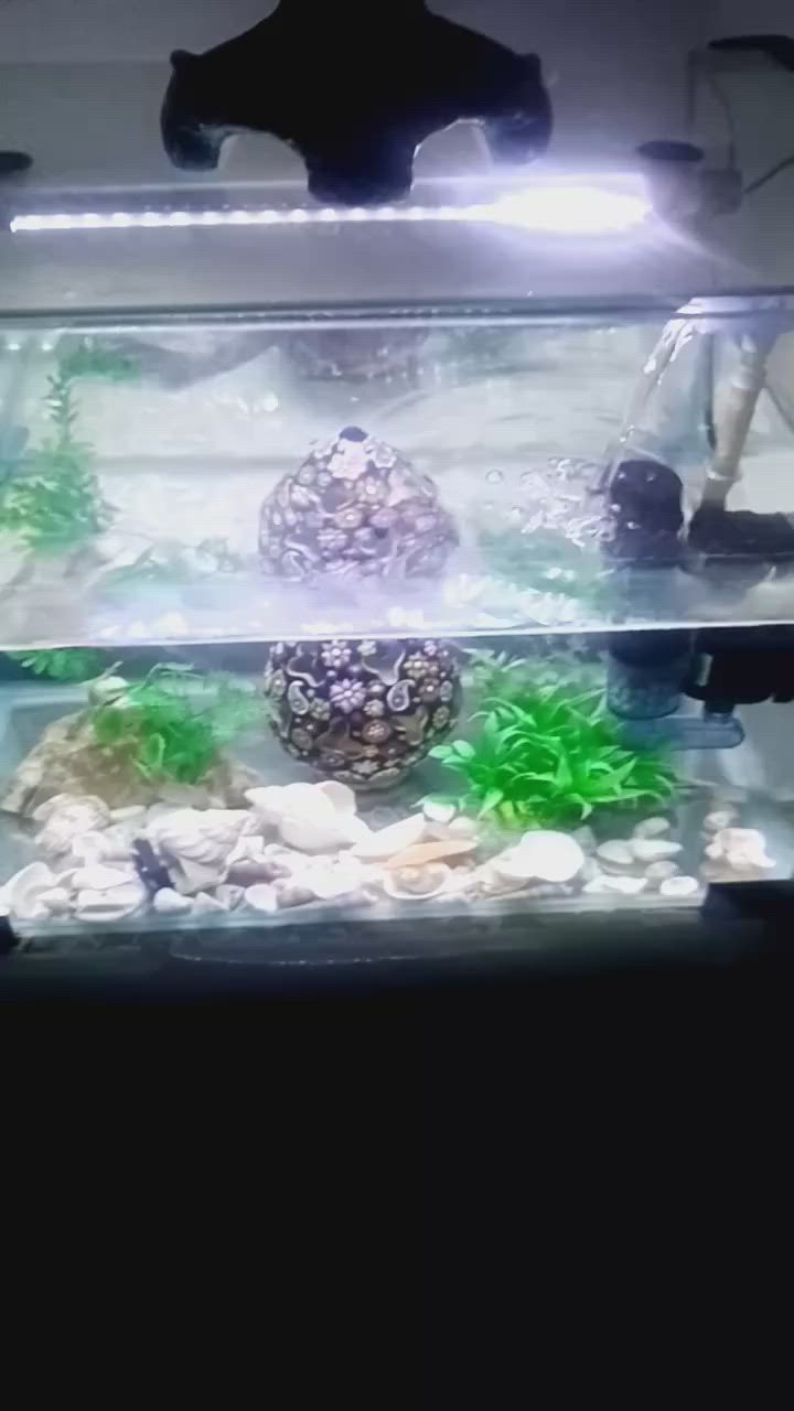 غراض للبيع اسعار جدن مناسبه لغرض تحويل ومستعجله


**إذا كنت صاحب هذا الإعلان وتريد حذفه لأي سبب، رجاءا أرسل رسالة إلى الدعم الفني**