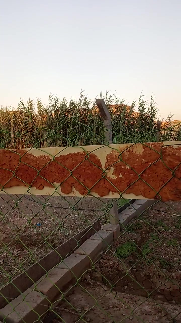 السلام عليكم بيت كامل نصه للبيع الصعر 30 او بي مجال العريفيه شارع ابو مروان وره مصيف خفاجه عقد 17 ***********
