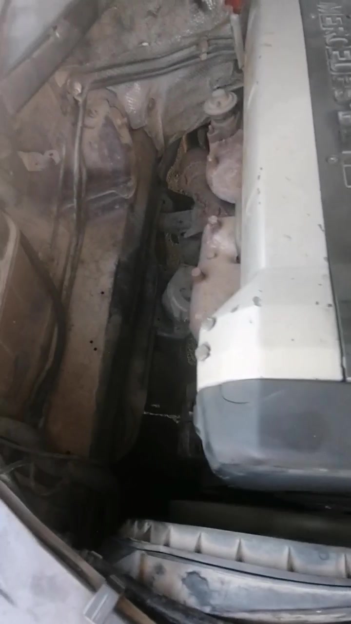 :   (للبيع فقط بدون مراوس ) مرسيدس شبح موديل 92  رقم ديالى مشروع وطني ( تتحول بأي مكان) ؛  محرك تابوت ٦ سلندر لون بنفسجي .
 2:  الابواب شفط . 
 3 : تحكم بالكراسي كهرباء  
 4: سلايت السقف شغال
 5:  السياره بأسمي ( شهر السابع تنفذ السنويه ) .
 6:  صالنصه عالطول مبدله جديد ب ( الف300).
 7: تبريد شغال ؛ التدفئه ملغيه ؛ اكسل ودرايم شفت خلفي مبدل  جديد وارد ياباني .
 8: السياره مصبوغه عام نفس اللون ( بنفسجي) .
 9: ملبسها تلبيسه لان جلدها مشكك . 
 10: فتحه سقف شغاله جام كهرباء اوتو الصدر والسايق ؛ جهاز السنتر لوك عاطل ما بدلته . 
السياره صارلها سنه ونص عندي ما وكفتني بالشارع .

السعر 48 ورقه وبيها مجال ؛ هذا مو سعرها بس مستعجل عالبيع .
مكاني بغداد حي الجهاد .
 ***********
