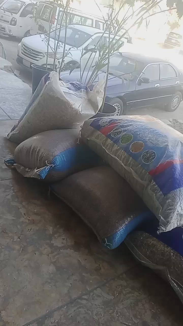 جميع مواد الزراعة.  الزبير  مقابل المركز الشرطه محل السيد


**إذا كنت صاحب هذا الإعلان وتريد حذفه لأي سبب، رجاءا أرسل رسالة إلى الدعم الفني**