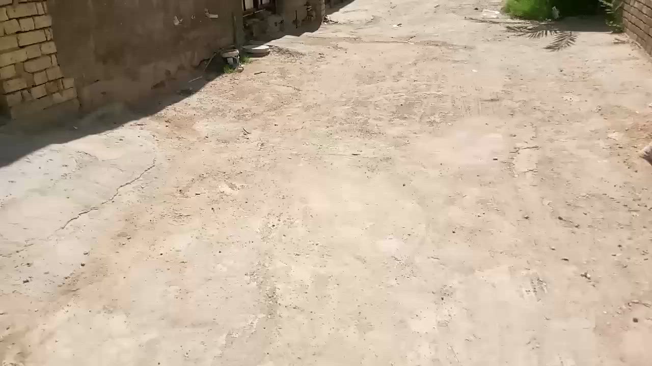 عندي بيت للبيع مساحه50 متر واجهه 5ونص نزال 10بيت كامل خدمات بناء جديد سند ابو صوره25 قرار محكمه سعر 35 الزعفرانيه الجواهري قريب عل شارع يم اسواق حسوني

***********
بي مجال للشراي تواصل ع رقم فقط
