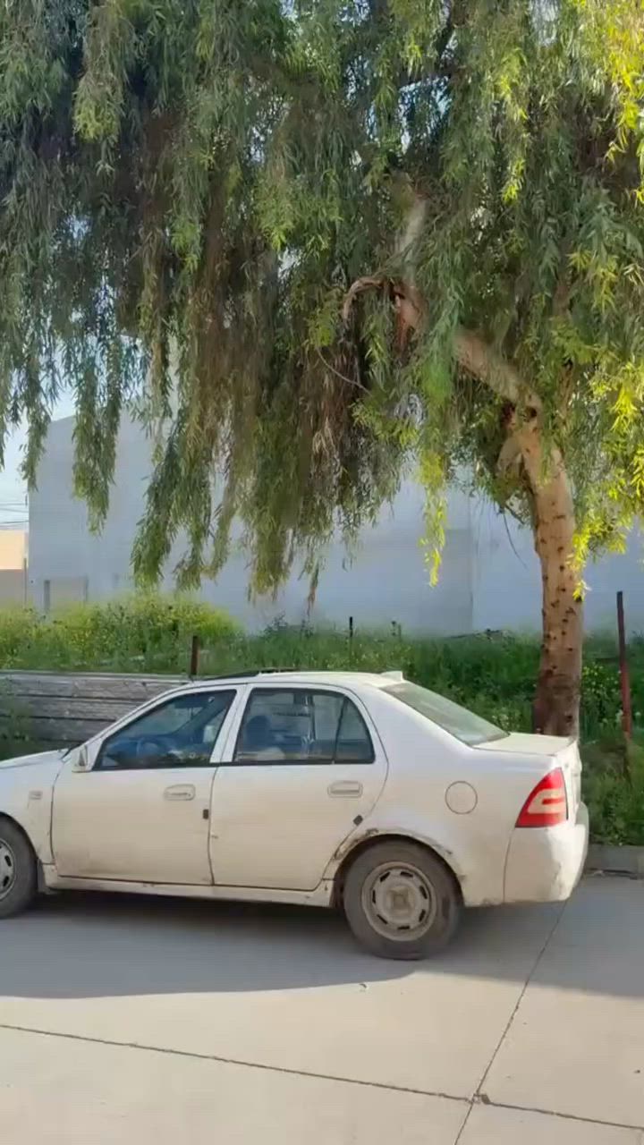 شقه للايجار حي المزارع خلف جامع القادر قبل مستشفى السلام غرفه كبيره داخلها حمام وهول ومطبخ كاونتر تعليق وسنك وبانكات وسبلت شقه مرتبه خط مولده
+9647515327693


**إذا كنت صاحب هذا الإعلان وتريد حذفه لأي سبب، رجاءا أرسل رسالة إلى الدعم الفني**