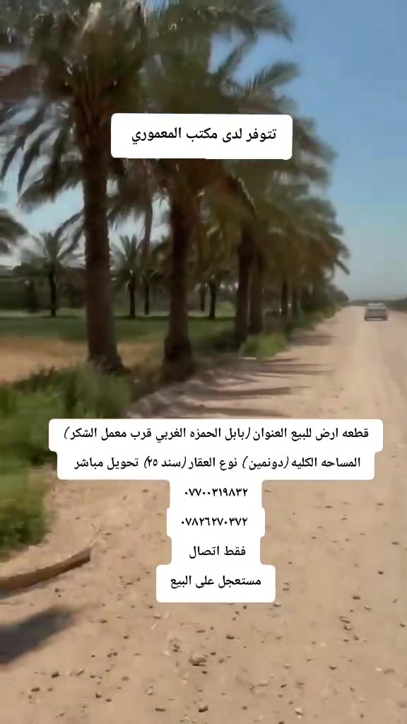 قطعه ارض للبيع العنوان (بابل الحمزه الغربي قرب معمل الشكر )
المساحه الكليه (دونمين ) نوع العقار (سند ٢٥) تحويل مباشر 
***********
*********** 
فقط اتصال 
مستعجل على البيع
