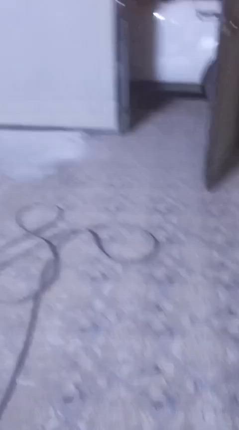 دار 200متر. كلش نضيف خلف اسواق 24ساعه. بحي الطياره. سعر الايجار النهائي 600. الف.  ثلاث نوم وكراج وحديقة. للاستفسار الاتصال على الرقم ***********.   للايجار
