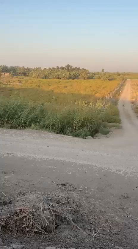 توجد 24 دونم للبيع طابو ملك صرف كل ٥ بسند مستقل على طابو ابي غريب ارض حلوه ومخدومه بالكامل على شارع رئيسي مباشر فتح بيان ثاني يوم سعر الدونم من ٨٥ لحد ١٢٠ حسب موقعها  مقسمه دوانم مربعه عنوان بغداد الشعله قرب جسر ماجد البصام المسافه عن ساحه القاء المنصور ٢٠ 
توجد 5 دوانم للبيع طابو على طابو الكاظمية الثانيه سند مستقل فتح بيان بأسم المشتري ثاني يوم ارض كلش حلوه ومخدومه بالكامل ماء اساله ماء سقي كهرباء منطقه مسكونه مخدومه من كلشي بيها سكن ومزارع منطقه امن وامان تبعد عن ساحة القاء المنصور20 دقيقه عنوان بغداد التاجي سبع البور من جهت ابوعظام سعر الدونم ٦٥
موجوده ٥٠ دونم طابو ملك صرف للبيع في بغداد التاجي قرب سبع البور سعر الدونم ٥٠ على طابو ابي غريب ارض جدا حلوه ومخدومه بالكامل بيها ماء وكهرباء صايره ركن على شارعين


**إذا كنت صاحب هذا الإعلان وتريد حذفه لأي سبب، رجاءا أرسل رسالة إلى الدعم الفني**