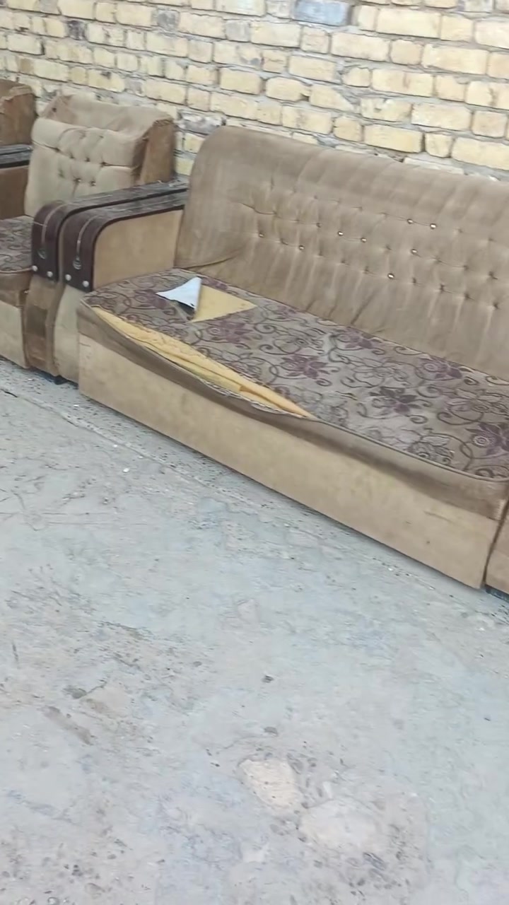 السلام عليكم تخم قنفات للبيع عشر نفرات بي اضرار 100وبي مجال الرقم ***********
