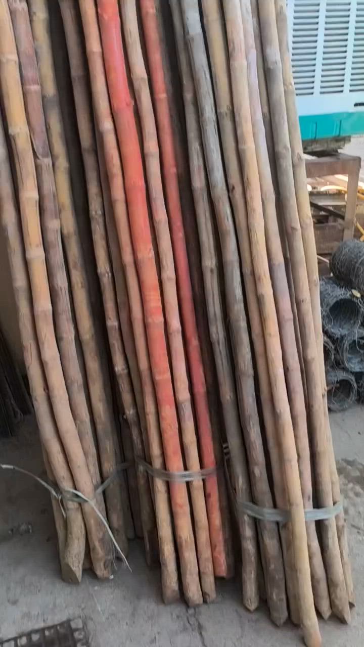متوفر بل الديوانيه


**إذا كنت صاحب هذا الإعلان وتريد حذفه لأي سبب، رجاءا أرسل رسالة إلى الدعم الفني**