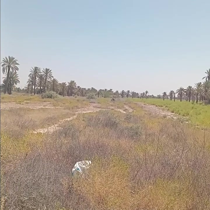 ***********

سعر الدونم ١٣٠ وبي مجال
