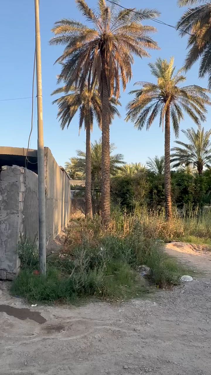 � فرصة مميزة لامتلاك قطعة أرض  #بسعر مناسب 🔥

🏡 قطعة أرض للبيع
📍 الموقع: شارع المراسمة – نزلة المركبن (السادة الشرفة)

📐 المساحة: 175 متر 
📑 طابو زراعي – سند 25

📏 الواجهة: 7.65 متر
📏 النزال: 23 متر

✅ متوفر كافة الخدمات:
💧 ماء
⚡ كهرباء

🌟 موقع هادئ ومناسب للسكن أو الاستثمار، مع توفر الخدمات الأساسية وقربه من المناطق السكنية.

📞 للاستفسار ومعرفة السعر التواصل على الخاص أو الاتصال مباشرة ***********
