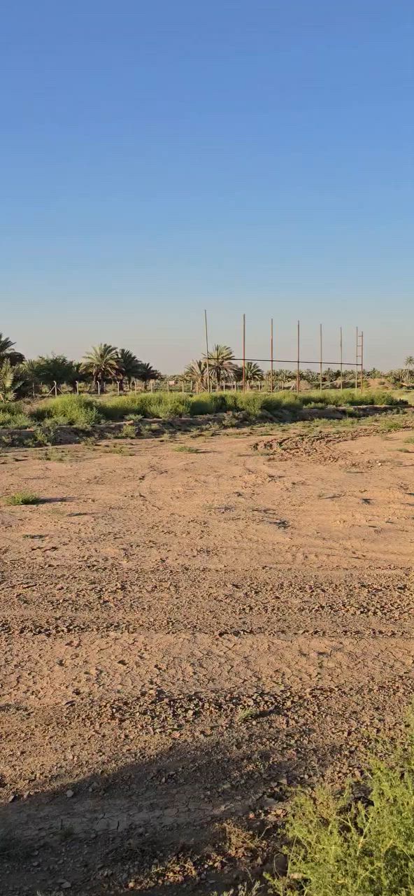 للبيع 3 دونم ونص 
طابو زراعي سند ٢٥
حله / قرب مزار العلويه شريفه ع 
***********
