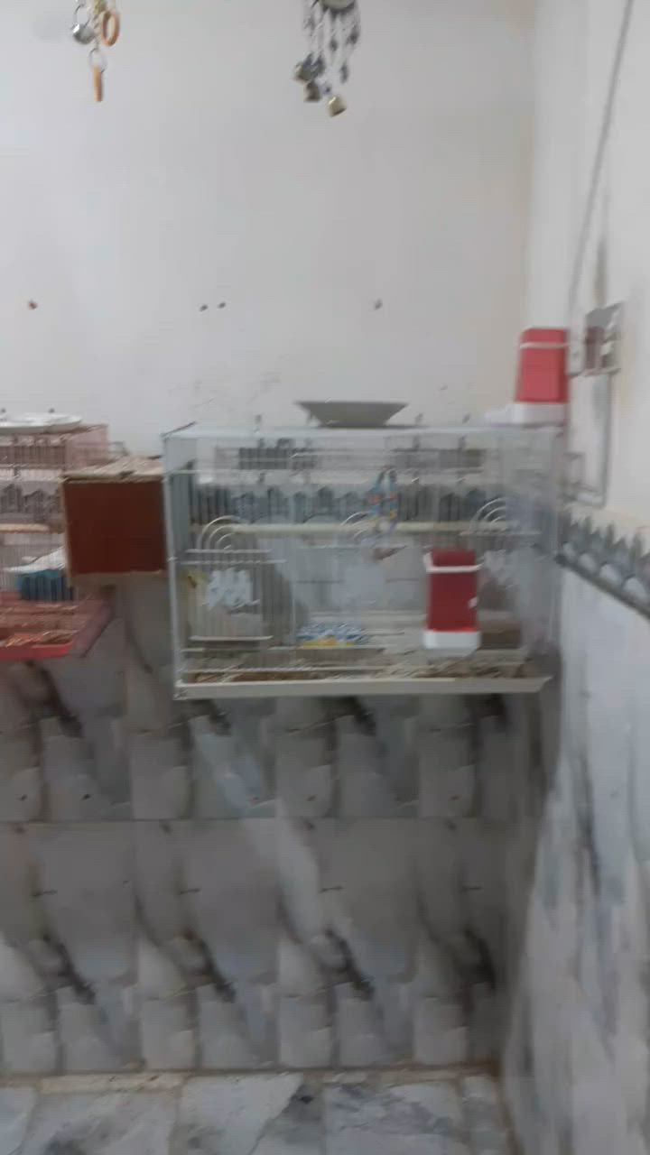 ناصرية مركز  واتساب ***********
