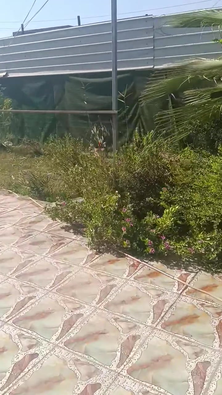 السلام عليكم....توجد قطعه ارض للبيع المساحه 220م طابو زراعي سند 25 العنوان بابل طهمازيه فرع مخبز المصطفى للاستفسار الاتصال على الرقم ***********
