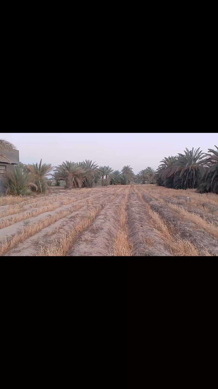 ✅بلاش سعر الدونم 50مليون فقط
✅طابو زراعي سند 25 تحويل مباشر 

✅تبعد عن التبليط مسافه 100متر طريقها سبيس 

✅واجهة 40متر والباقي نزال 

للاستفسار اكثر الاتصال ***********

