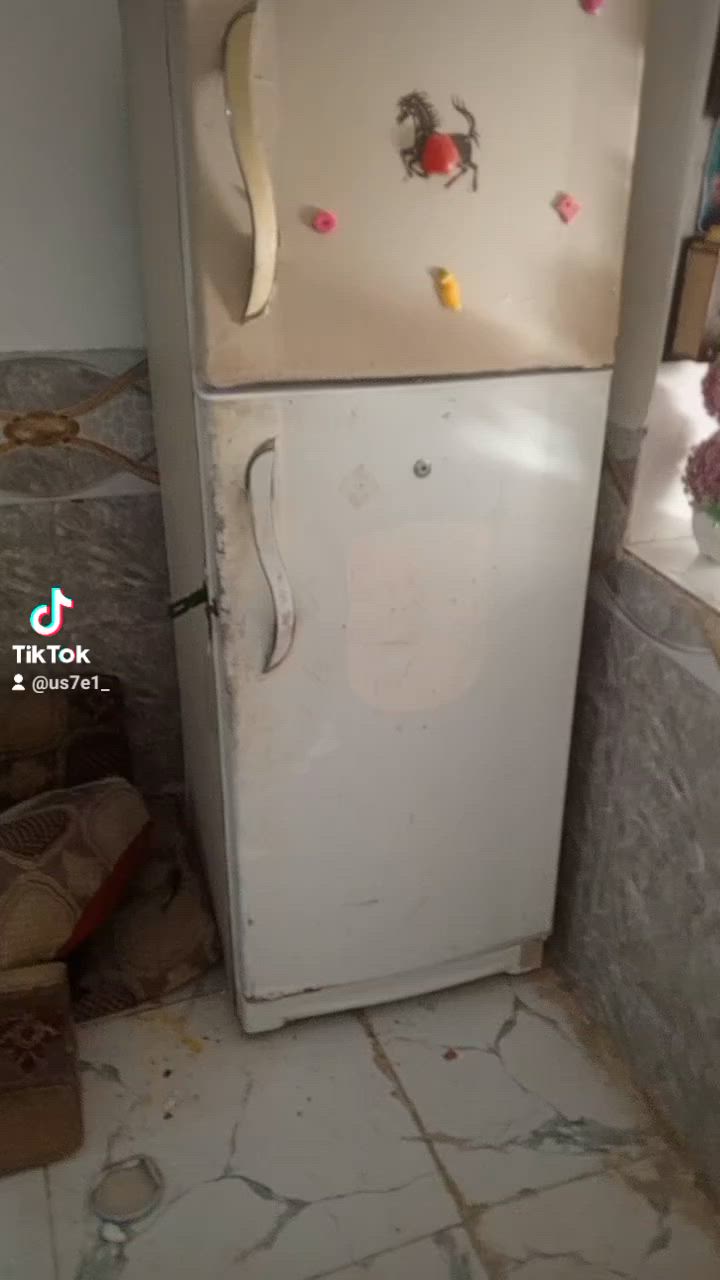 سلام عليكم ضلاجه للبيع درجه اوله ع فحص وتجميد فول اليريده يخابرني كربلا سيد سماعيل ***********
