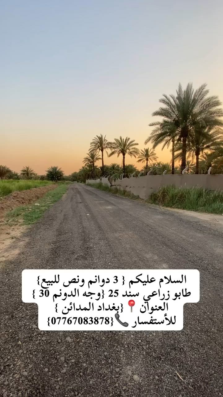 السلام عليكم { 3 دوانم ونص للبيع} طابو زراعي سند 25 {وجه الدونم 30 } العنوان📍{بغداد المدائن } منطقة الجعارة  يبعد من سدة الجعارة 600 متر واصل كهرباء شارعهن 12 متر  
للأستفسار 📞{***********}

  #بيع #مزرعة #عقار #مزارع #عقارات
