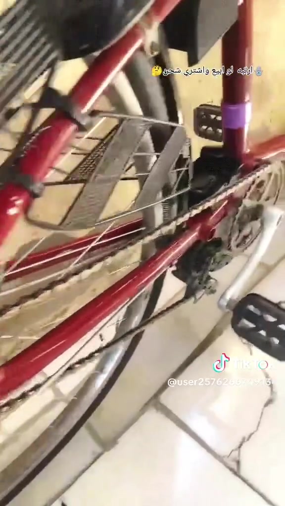 سلام عليكم بأيسكل البيع ***********تواصل عل رقم ماتواجد عل فيس لون أحمر بايسكل صناعه ياباني اصلي اوزان ثقيل نضافه فول الباسكل تكسي حجم 26 شركه تكسي ميزز لون احمر نصيف بركيات شغالات البايسكل مساعد شحن يحتاجله بطاريه بايسكل شحن و بايدر يمشي السعر 135بي مجال فقط بيع عنواني كربلاء حي العامل منطقه السادسه يم ازياء علي الهندي يم شركه الاماني والبان الفجر
