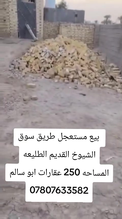 عقارات أبو سالم
🚨 بيع مستعجل
يتوفر لدينا هيكل حديث البناء – درجة أولى بمساحة 250 م².
📍 الموقع: شارع سوق الشيوخ القديم، خلف مدرسة الإمامين.
✅ تتوفر جميع الخدمات.
📸 التصوير هو الدليل الحقيقي للموقع وحالة البناء.
📞 للاستفسار: ***********
