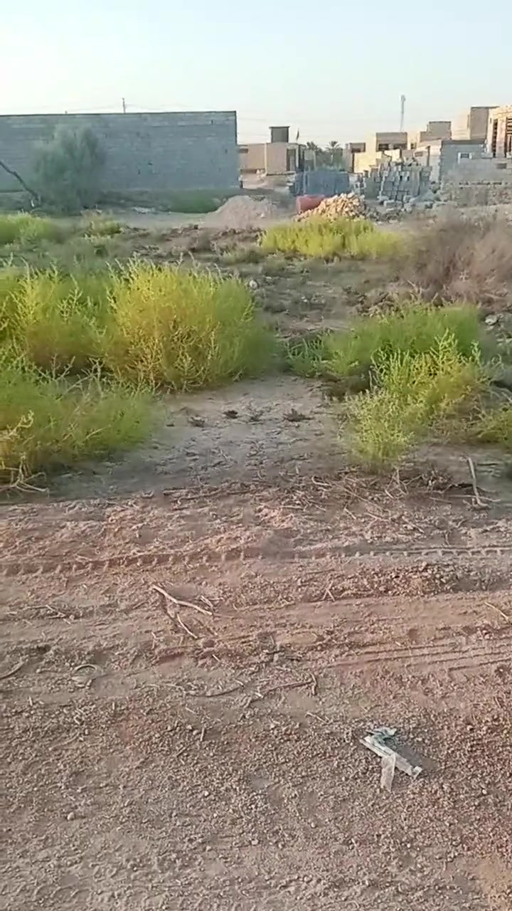 #ياالله_500متر_طابو_زراعي_للبيع
طريق رميثه نجمي منطقة سيد ناصر 
كامل التفاصيل داخل الفيديو 👇
للتواصل والاستفسار واتساب او اتصال 
***********
