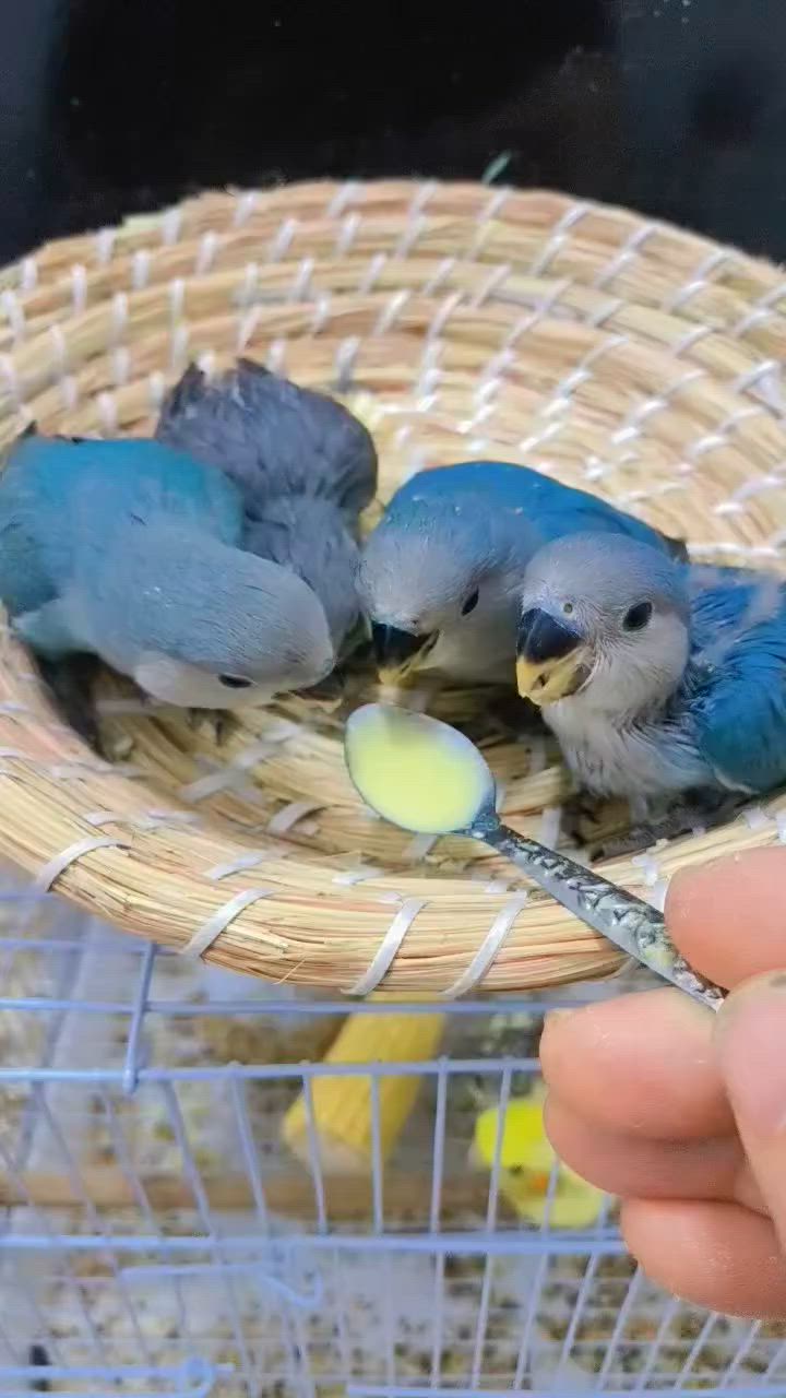 بغداد الشعله تك25


**إذا كنت صاحب هذا الإعلان وتريد حذفه لأي سبب، رجاءا أرسل رسالة إلى الدعم الفني**