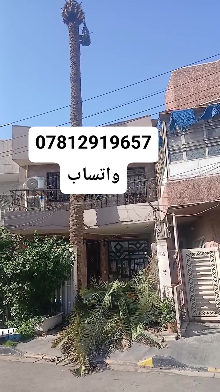 #قطع_نخل
قطع نخيل واشجار العمل في بغداد 
الاتفاق على العمل عن طريق ارسال صور الاشجار والنخيل على الواتساب او الصفحه 
***********

