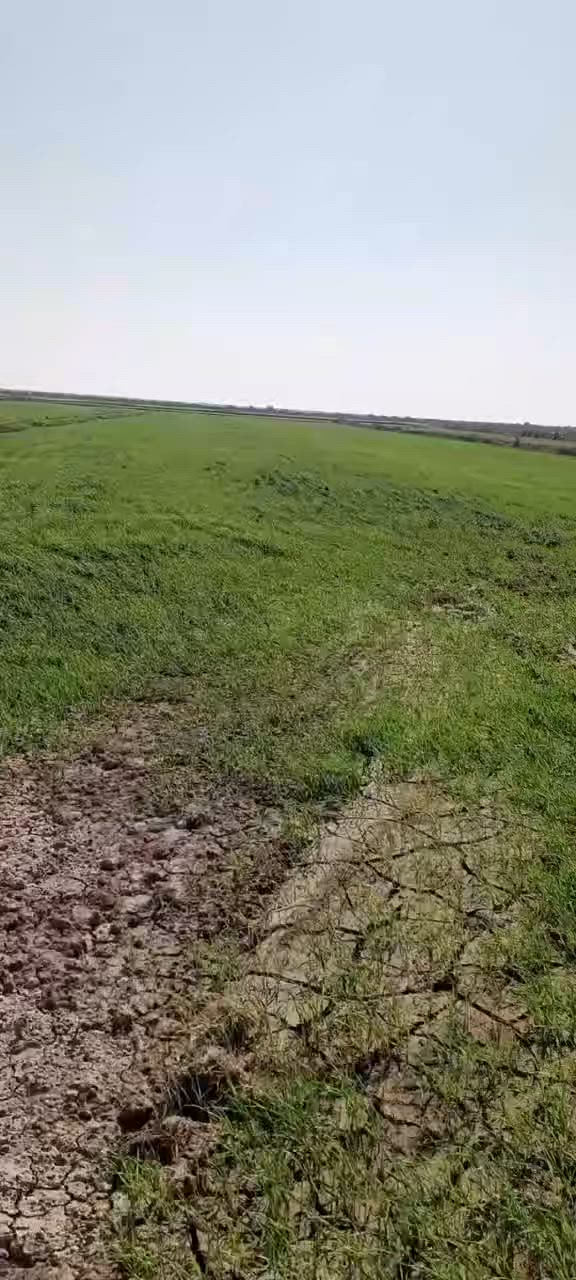 ارض زراعيه للبيع المساحه ٤٠دونم في محافضت واسط في منطقت الدخنه على نهر الكلال مباشر يوجد بأرض كرفان للسكن ومحرك ماء متوفر شتاء صيف للاستفسار اكثر اتصل ***********
