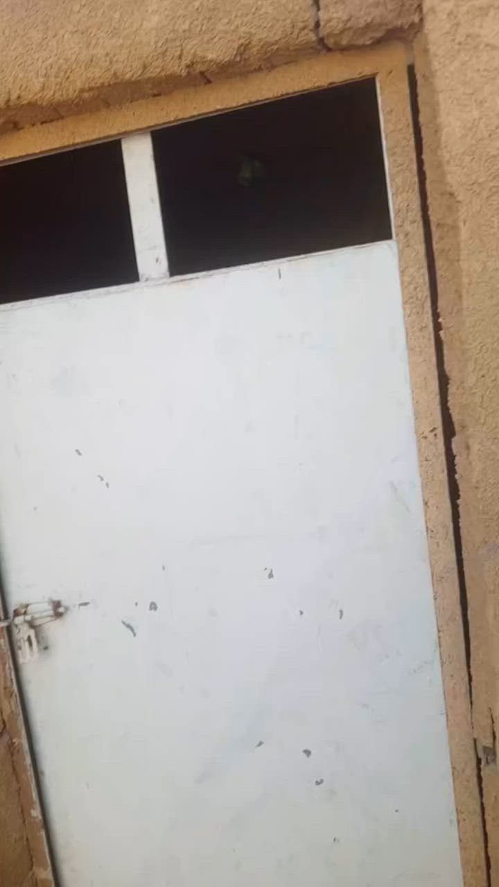 بيت للبيع ولليجار في الشعب بيت مرتب وهدوء المنطقه بسعر مناسب للاستفسار راسلني وأتساب ***********
