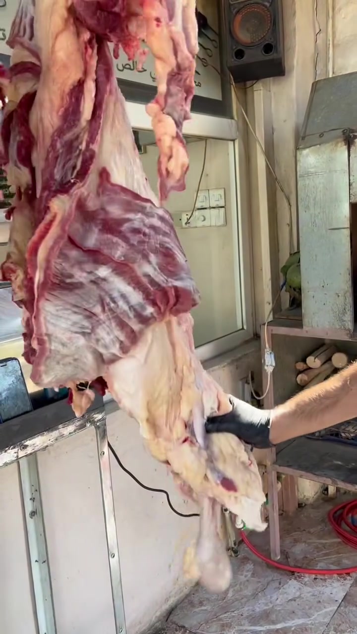 لاتدوخ ولا تحتار سيف جمول هوا الاختيار 🔥
لحومنا العراقي يوم بيوم 🥩
كبانه العراقي خالص 100/100
نكص كدام عينك ونثرم 
توجد خدمه توصيل داخل بهرز وخارج بهرز 

‭***********‬
العنوان ديالى بعقوبه سوق بهرز مقابيل جامع ملا روزي
