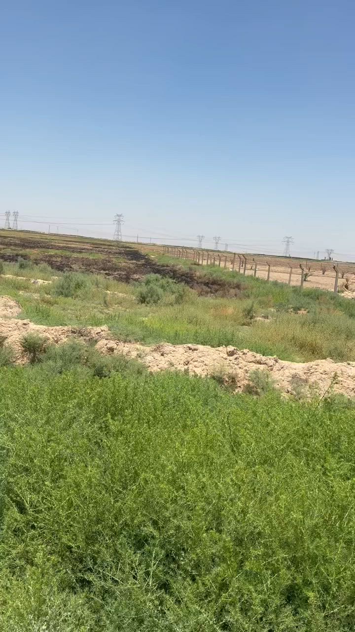 السلام عليكم ارض زراعيه لبيع 17 دونم مي اساله بيها وكهرباء ومي سقي زراعي عقد 35 باسم جيراني تريد تحويل عادي تريد مكاتبه عادي وسند مالتها مجدد دافعين للدوله لحد سنه 28 و سعرها 10 لدونم بيها مجال كلش بصيط ***********
