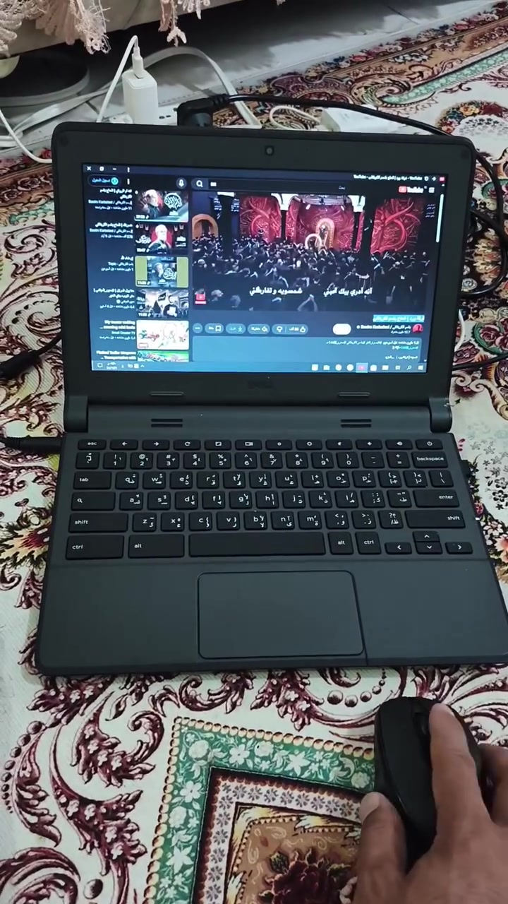 السلام عليكم
للبيع واسعارهم جدا مناسبه
لغرض الحاجه ***********
