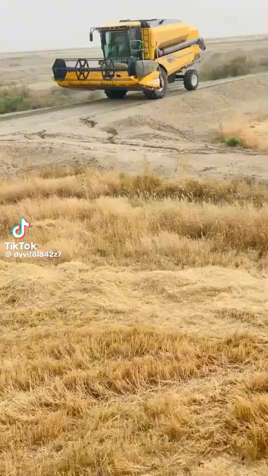 مطلوب لزمه حصاد في موصل ودهوك باي مكان حالين متفرق حمل وجي ***********
