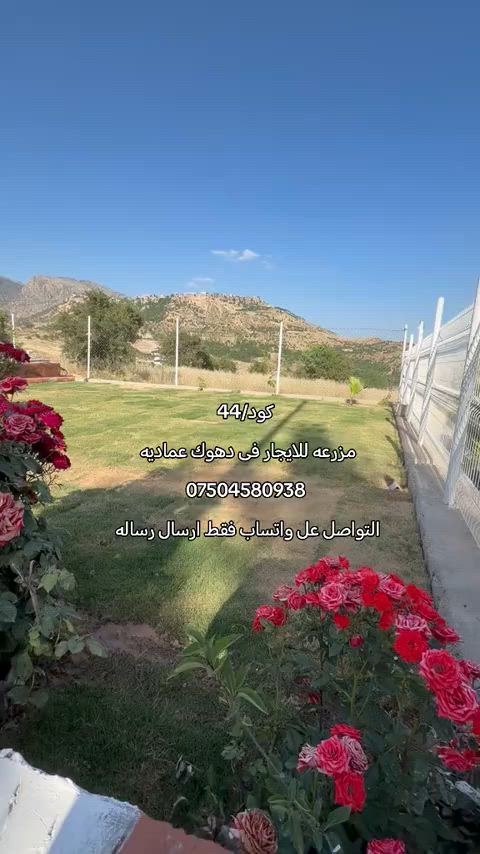 #مزارع_للایجار_فی_دهوك*********** #بصره #ناصریه #بغداد_العراق #مشاهیر_تيك_توك 
