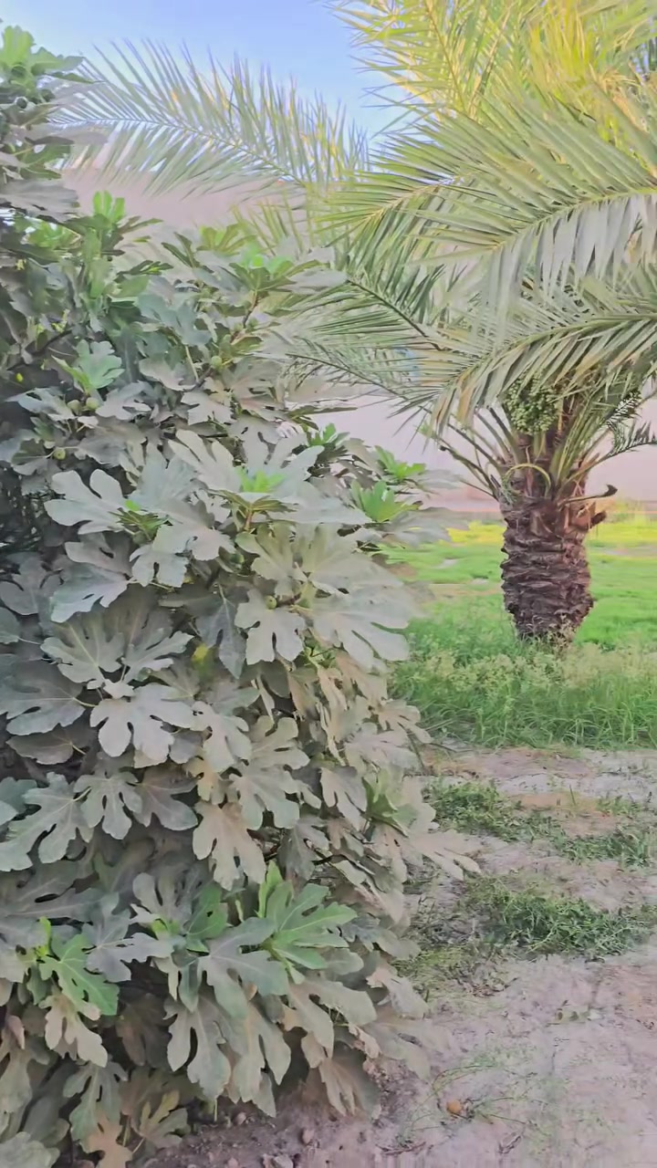 🏠 بيت للبيع – فرصة حلوة

بيت طابقين للبيع، جاهز للسكن، بموقع حلو وخدماته كاملة.

📍 الموقع: بغداد – النهروان، قرية 8، النزلة الأولى، يبعد أقل من 150 متر عن الشارع العام.

الطابق الأول:

- 3 غرف نوم
- صالة استقبال
- هول
- مطبخ
- حمامات

الطابق الثاني:

- 3 غرف نوم
- هول
- حمامات

البيت مرتب وجاهز للسكن، والمنطقة بيها كل الخدمات من أسواق ومدارس وماء وكهرباء.

للاستفسار والمعاينة راسلني أو اتصل.
         *********** علي 
         *********** سيف
