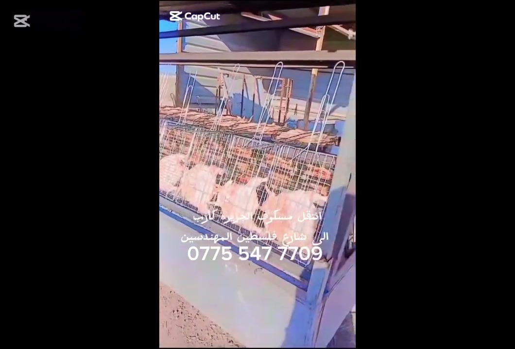 انتقل مسكوف الجزيرة كارب الى شارع فلسطين المهندسين قرب حيدر ماركت للحجز  ‏‪***********‬‏ عبودي
