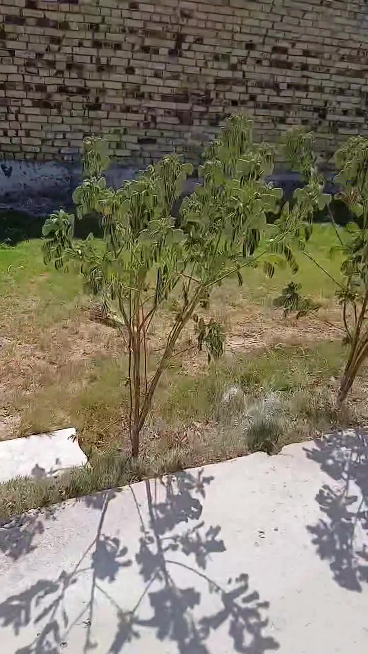 السلام عليكم دار للبيع شارع ٨٠ نجف قرب الساده البو خطه بحي النصر طابو سند ٢٥ مساحه ٢٠٠ متر بناء ١٠٠ مربع غرفه وصاله وكلدور مفتوح ويه المطبخ و١٠٠ حديقه وكراج صحيات داخليه وخارجيه البيت نظيف جدا وجاهز للسكن فارغ تسليم مباشر السعر ٧٠ وبي مجال قليل للستفسار *********** او على الوات ساب 
ملاحظه البيت وياه البردات والكاونتر والسنك سخان بي ماطور ماء بي جاهز للسكن
