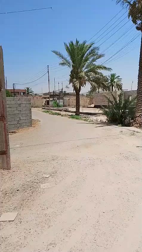التواصل مع الرقم *********** ابو عمر
