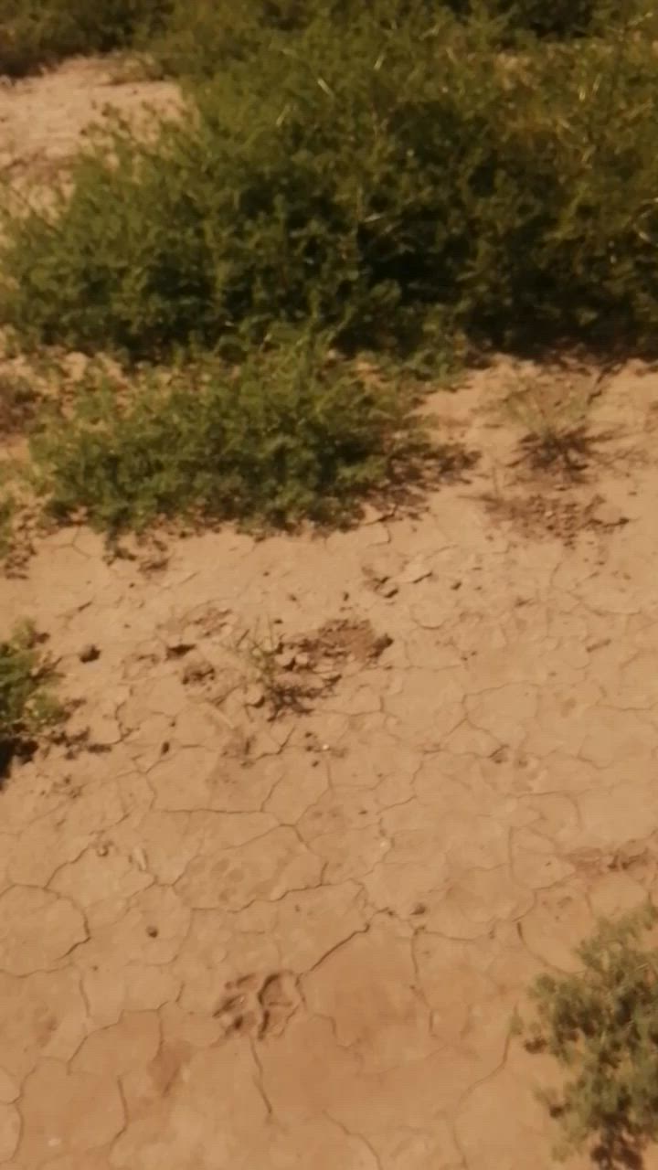 السلام عليكم  نصف دونم الجسر الفرنسي كافه التفاصيل بلمقاطع سند 24 رقم صاحب الارض ***********

