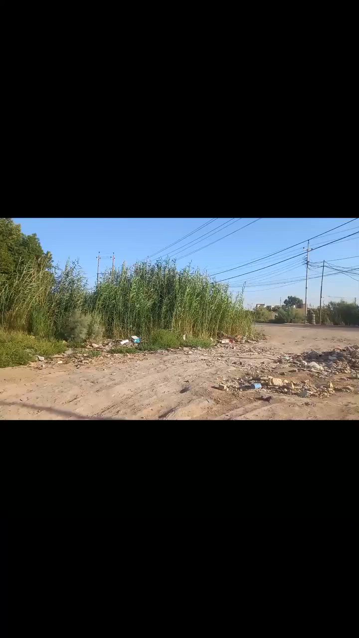 سلام عليكم متاح ٤ أشجار تقريبن كابرس  الي يردهن حطب يكصهن من لعجرج وياخذهن


**إذا كنت صاحب هذا الإعلان وتريد حذفه لأي سبب، رجاءا أرسل رسالة إلى الدعم الفني**