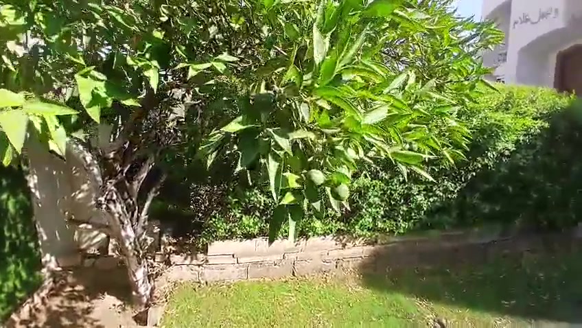شغل اليوم حدقجي 
🌳  حدائق الموصل لخدمات تنظيف وترتيب الحدائق هل تبحث عن اطلالة مميزة وجذابة لحديقتك نحن هنا لخدمتك 
نغطي كافة مناطق واحياء مدينة الموصل الجانب الايمن  والايسر خدماتنا تشمل 
تقليم وقص الاشجار  تنظيف وترتيب الحدائق إزالة الحشائش 
الضارة تنظيف المخلفات واعادة الحياة لحديقتك 
اسعارنا 
اسعار مناسبة جدا ومنافسة وتعتمد على حجم الحديقه ونوع 
العمل المطلوب رضاكم هو هدفنا 
 📞 التواصل والاستفسار 
يمكنكم الاتصال مباشرة او المراسلة عبر الواتساب  
 على الرقم *********** ورقم بي واتساب
