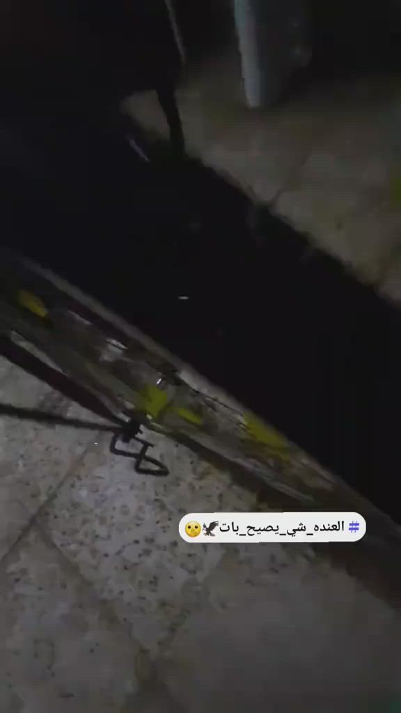 السلام عليكم  باسكل بطه للبيع  نضيف جدا موديل 2024  تايرات جدد مكاني كربلاء بريكات جدد غراضه كامله مكمل 100 وبيه مجال


**إذا كنت صاحب هذا الإعلان وتريد حذفه لأي سبب، رجاءا أرسل رسالة إلى الدعم الفني**