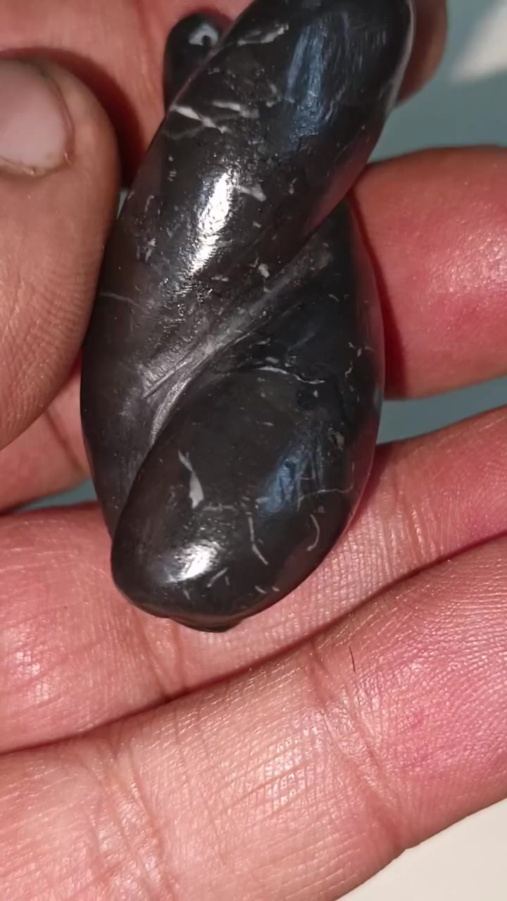 نوادر الانتيك مال زماط وشرط الشغل منگل عرگ سلطاني نثية وفحل توووم انتيك قديم واحد على واحد فول الفول وشرط الشغل تاخذة منجم 14 ليلة وبي توكيل عام وخدام وجاهز للحمل يعمل محاكم جاه وجاها مهابة طاعة قبول عگد لسان تسهيل امور بيع شراء دوائر دولة يوجد توصيل ***********       ***********

