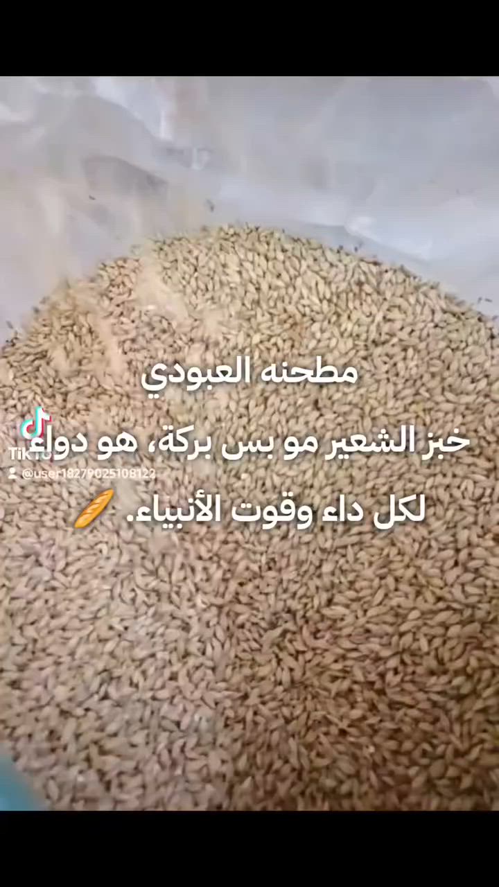 خبز الشعير.. قوت الأنبياء وطعام الأصحاء 🌾✨
من مطحنة العبودي نقدم لكم أجود أنواع الشعير النقي المطحون بكل بركة. مثل ما تگول الروايات والأثر عن بركة هذا الخبز:
"أفضله الخبز من الشعير، فهو طعام القانع الفقير، ما حلّ جوفاً قط إلا أُخلي من كل داء، وهو قوت الأنبياء." 🥖❤️
صحتكم وعافيتكم تهمنا، جربوا طحين الشعير الصافي من عدنا اليوم وشوفوا الفرق بصحتكم!
للتوصيل📌***********
عنوان📍 بغداد - شعله الصدرين -خلف مصرف الرشيد -مطحنه العبودي #دايت_صحي #خبزشعير #شعله_الصدرين #الدكتور_ضياء_العوضى_نظام_الطيبات #الدولعي_الحرية_الكاظمية
