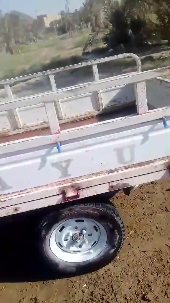 ستوته دايون البيع *********** الخضر عين صيد
