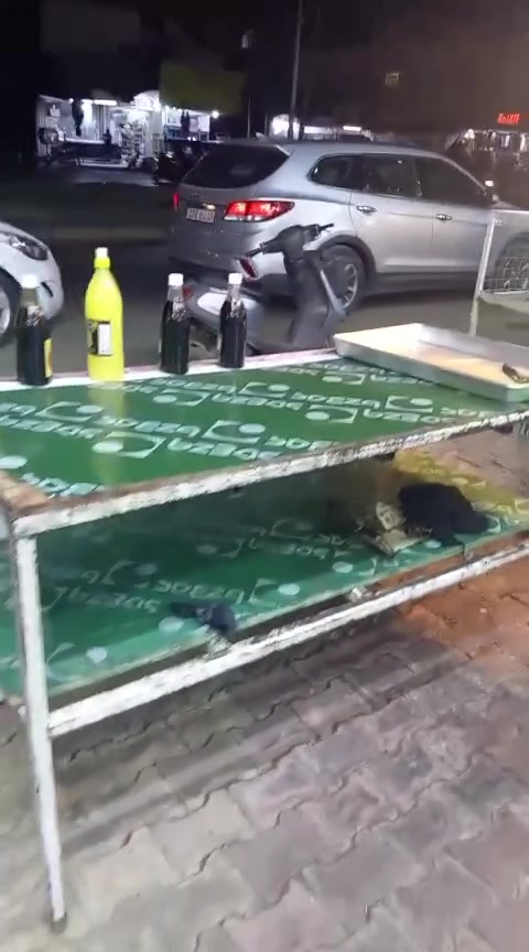 سلام عليكم
1/برادين 
2/طباخ
3/شواي دجاج
الغراض كلهن جدد
بيع مستعجل
كلمن او سعره
الاتصال على الرقم
***********
