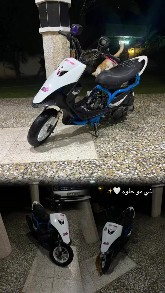 سلام عليكم شباب هاي ماكس للبيع السعر 357او بيهة مجال دراجه ولله خير من الله بوسه 55 كلجات رياضي ترمي طلغات يعني دراجه فول اترايك تطلع بيهة لربيل او ترجع له عغنع بيهة يله تاخذهة مكان محموديه *********** رمش او اني انتصل رقم صاحب الدراجه مكلف بل نشر للامانه ولله دراجه اني شايفهة خير من الله او تحياتي الكم
