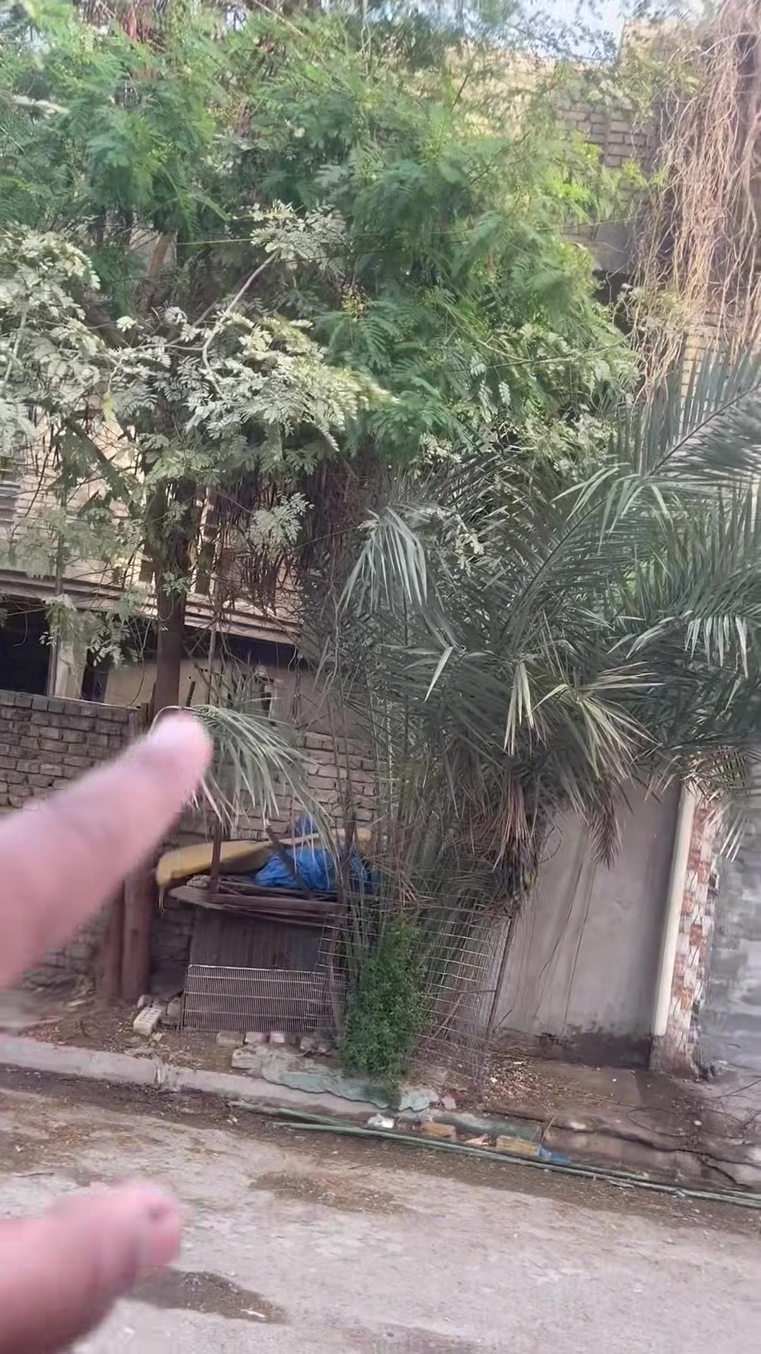 بيت سعر مناسب
***********

